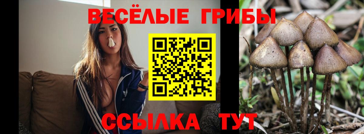 Унеча  Галлюциногенные грибы Psilocybe  Галлюциногенные грибы MAGIC MUSHROOMS  Вход с VPN 