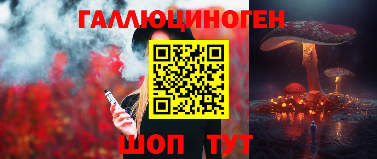 Галлюциногенные грибы Psilocybe Унеча